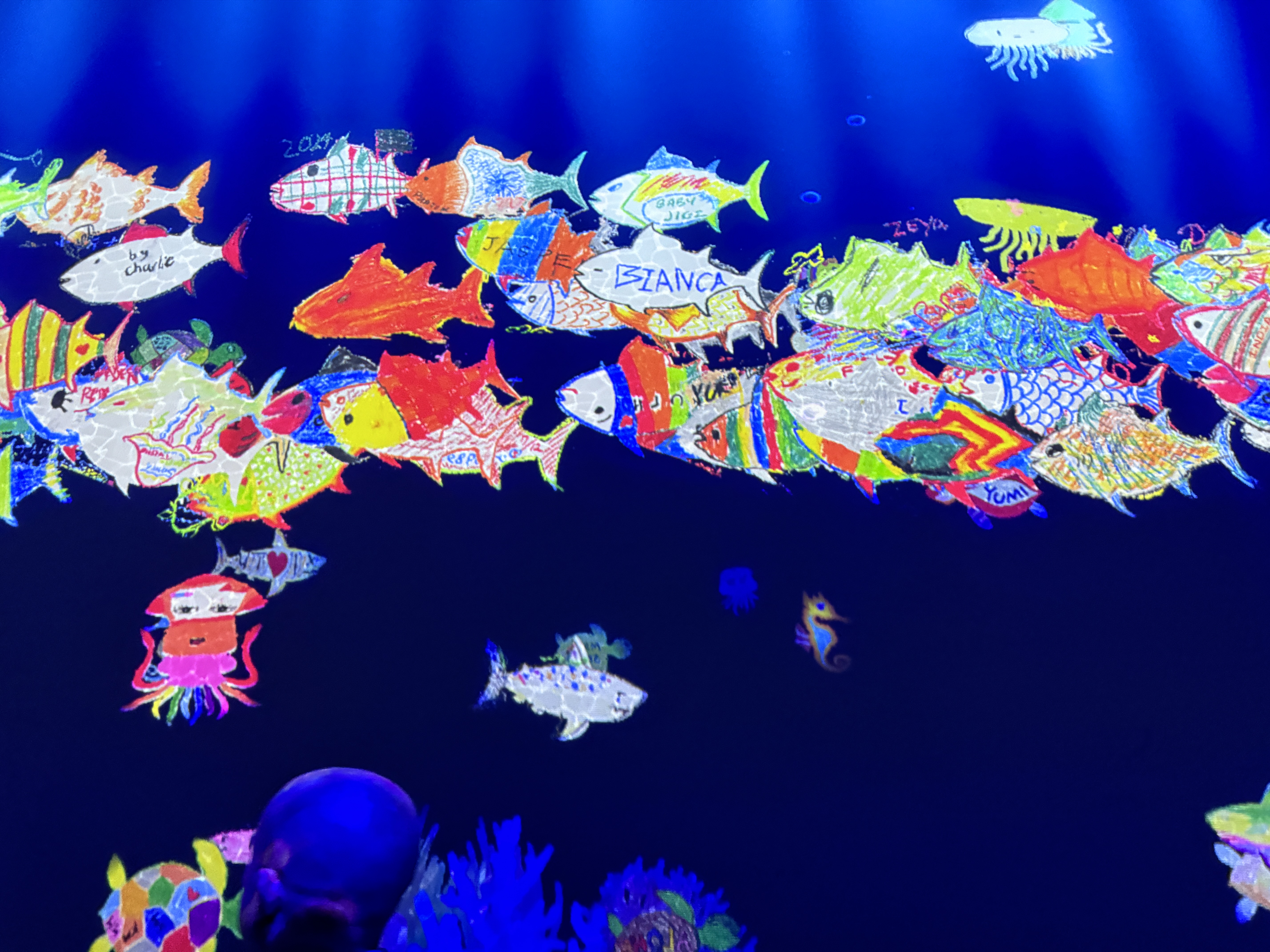 teamlab_borderless_無界_魚的自畫像